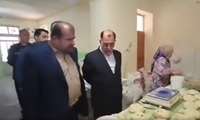 فیلم/ بازدید فرماندار گناوه از کارگاه بانوی اشتغال آفرین
